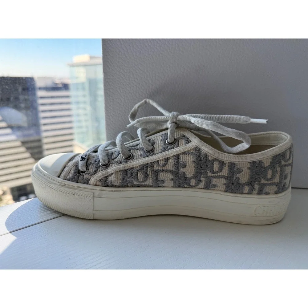 Dior authentic walk